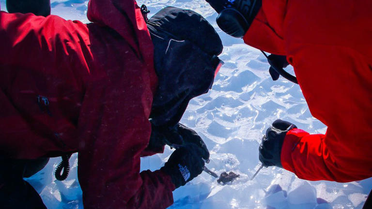 Meteorites may be lost to Antarctic ice as climate warms, study says