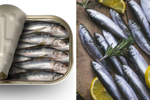 comer más sardinas y menos carne roja salvaría a 700.000 vidas para 2050, según estudio