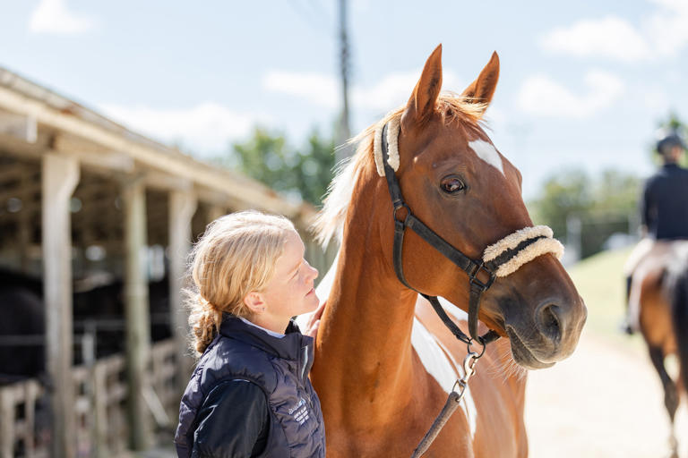 Young Riders: Hawke’s Bay equestrians defy Cyclone Gabrielle odds in ...