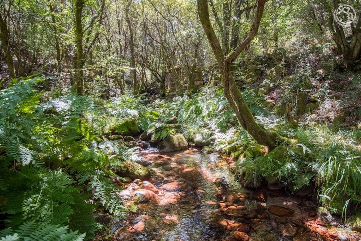 trilho dos xurés: cascatas e lagoas de cortar a respiração