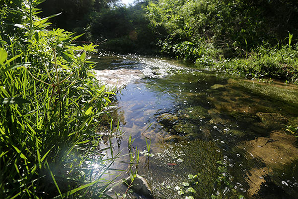 Escambia County completes Jackson Creek Floodplain Restoration project