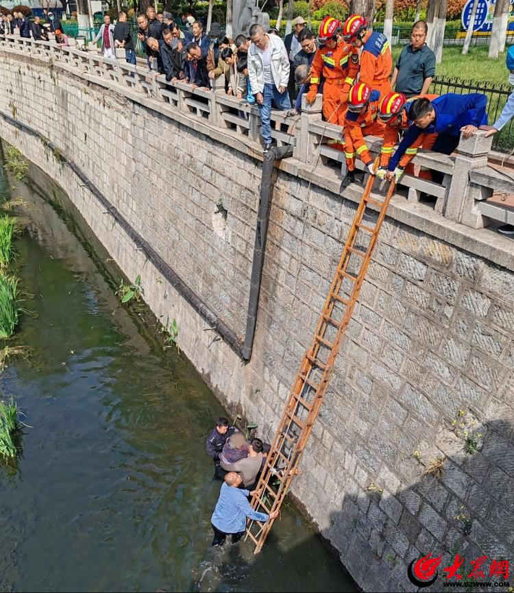 危机时刻｜临沂交警直属一大队辅警赵伟跳入水中救助老人