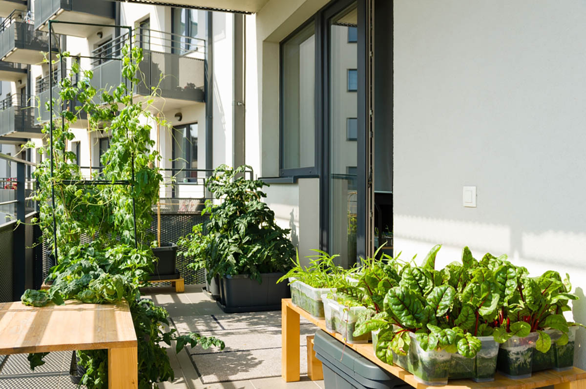 cómo iniciar un jardín en tu balcón