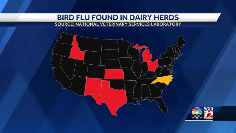 Bird flu found in dairy herd in North Carolina, state officials say