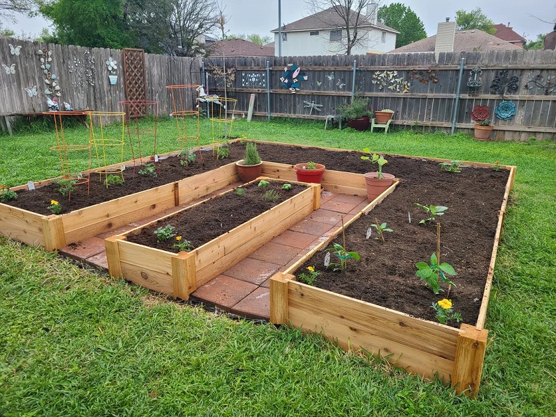 amazon, homeowner shares before-and-after photos of impressive raised garden bed rebuild: 'i absolutely love this'