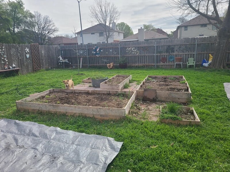 amazon, homeowner shares before-and-after photos of impressive raised garden bed rebuild: 'i absolutely love this'