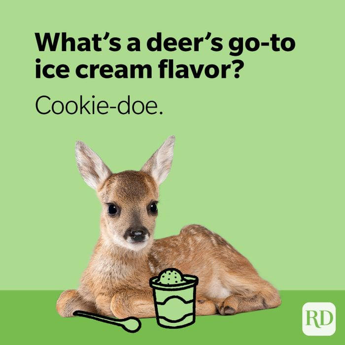 50 Deer Puns That Make the Heart Grow Fawn’der