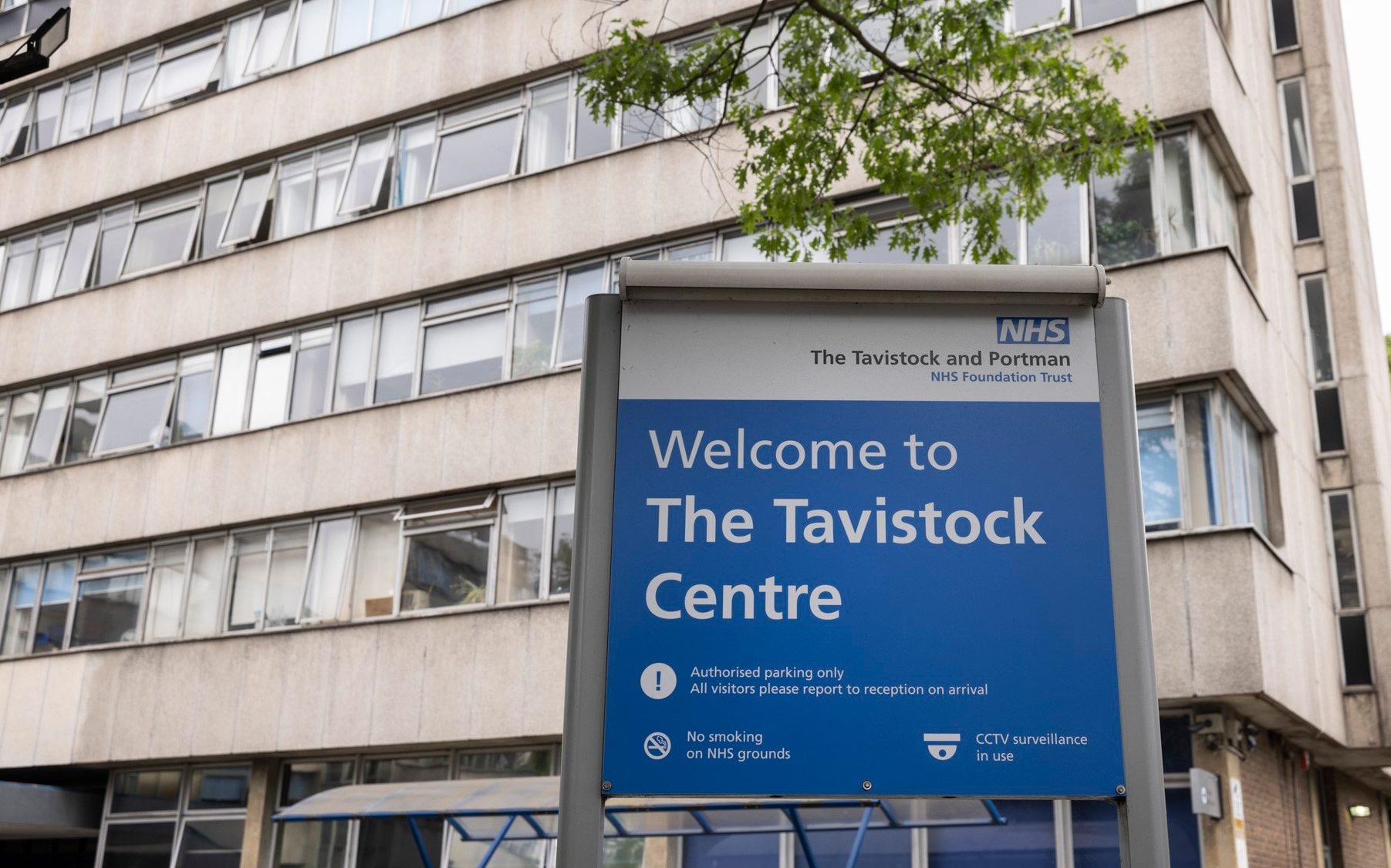 how the void left by the tavistock is being filled by the private sector
