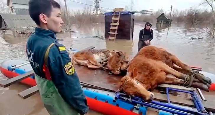 översvämningar i ryssland värre än någonsin