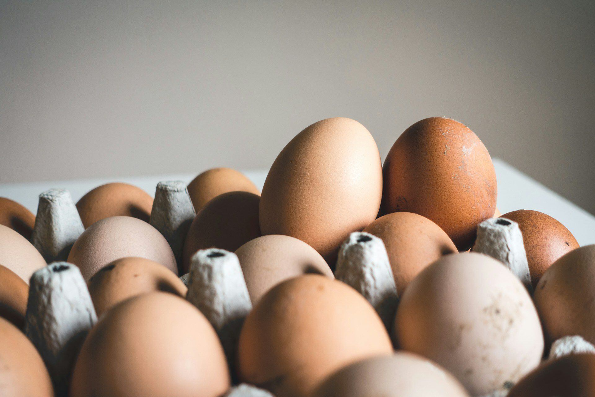 ¿por qué sube el precio del huevo?
