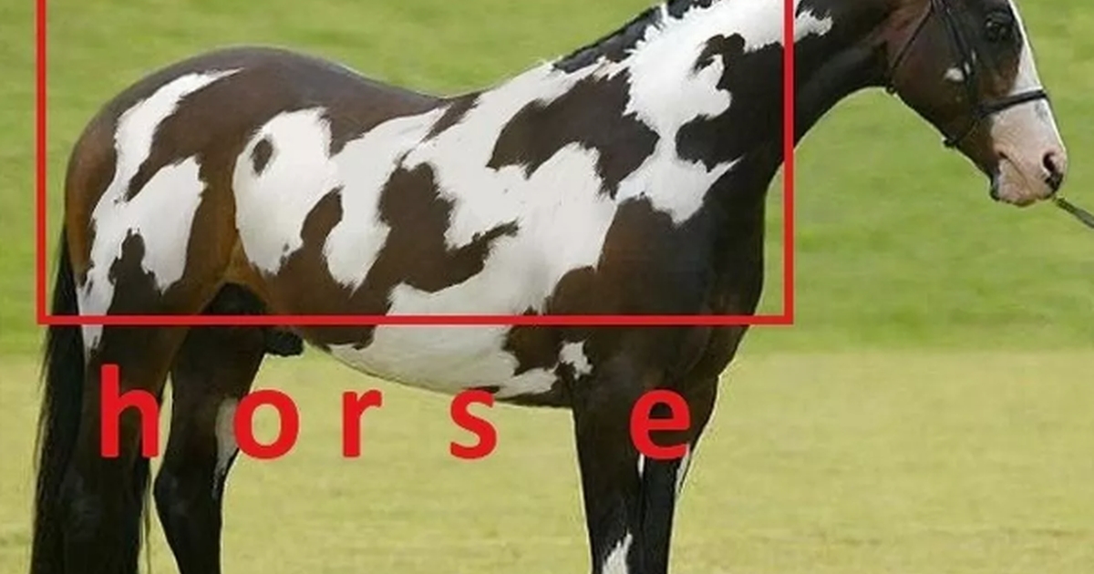 test din intelligens: kun dem med høj iq kan spotte den anden hest på dette billede