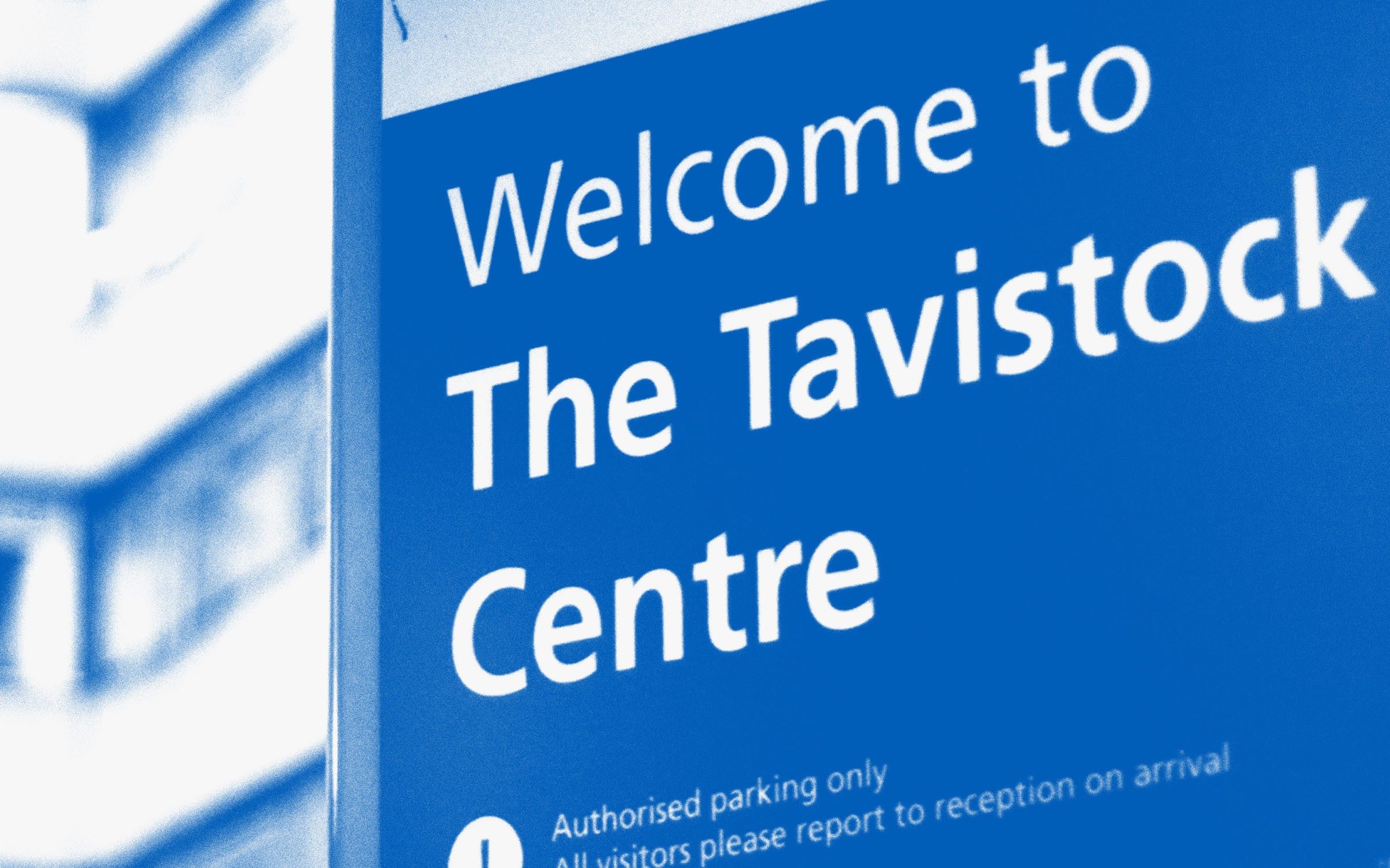 how the void left by the tavistock is being filled by the private sector