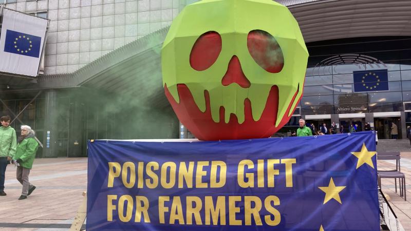 des activistes déposent une pomme géante empoisonnée devant le parlement européen (photos)