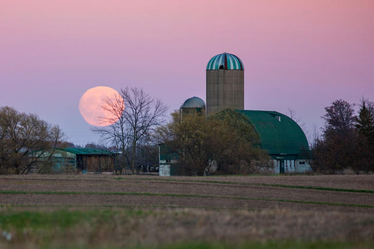 After The Total Solar Eclipse, April's Full Moon And Lyrids Meteor 