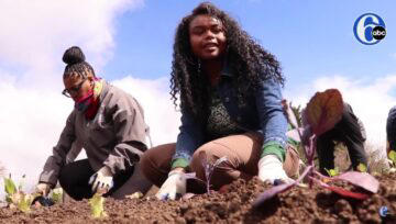 Bethel AME Church of Ardmore Create Community Garden and Farming ...