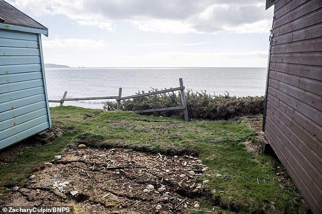 The £40,000 garden shed: Woman moves expensive beach hut to her back ...