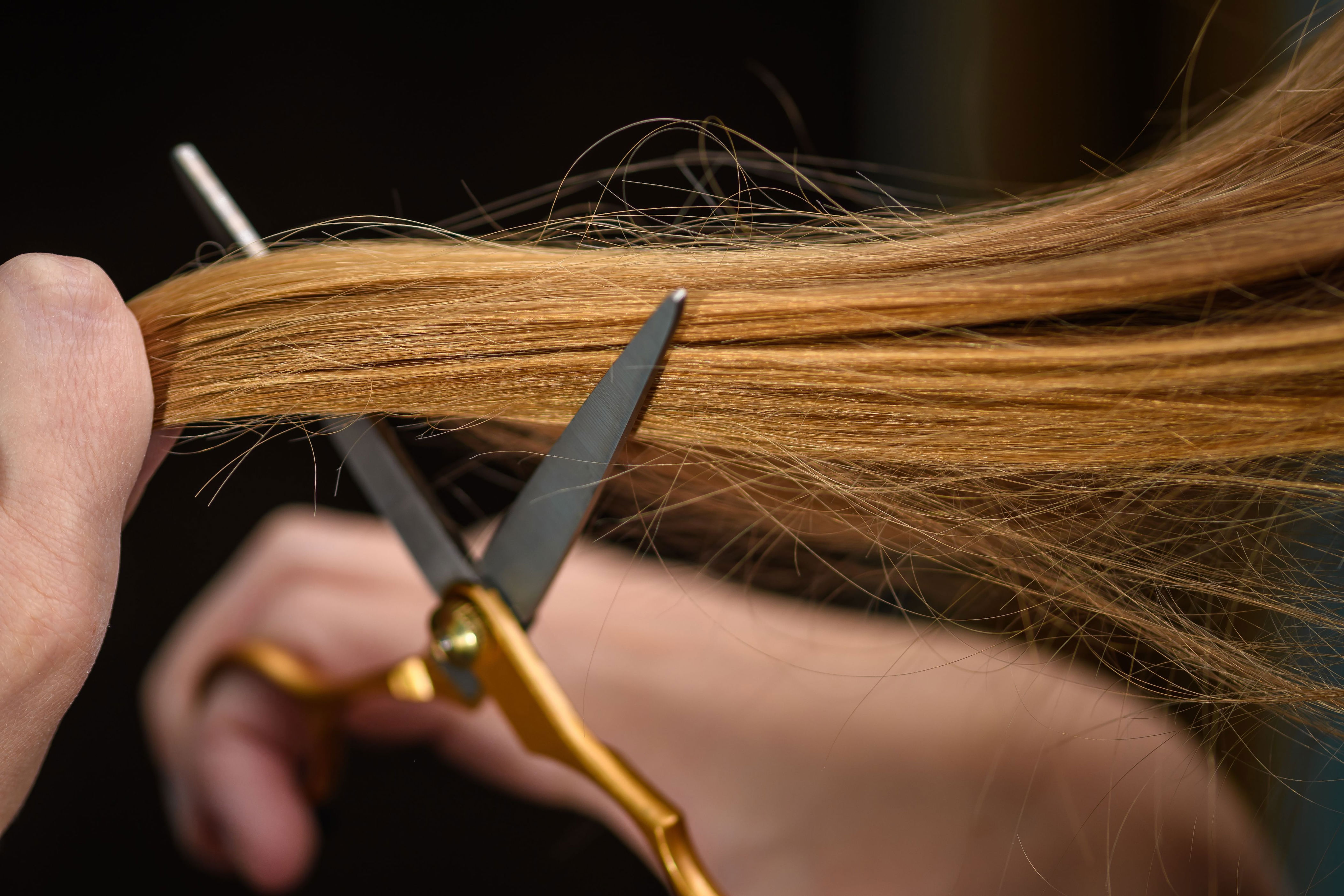 pelo castigado: los trucazos que no fallan para reparar tu cabello sin gastar una fortuna