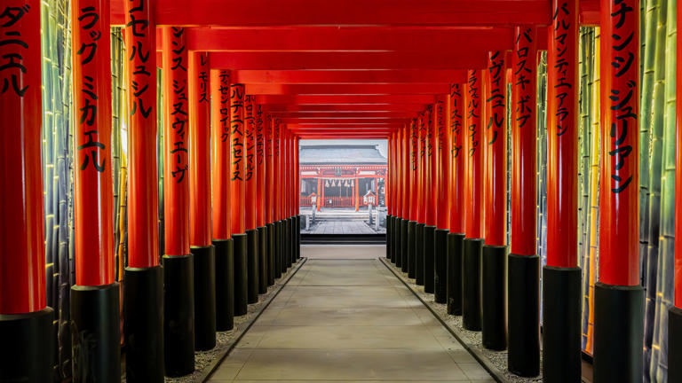 Cap Sur Le Japon Avec Cette Nouvelle Expo Immersive à La Sucrière