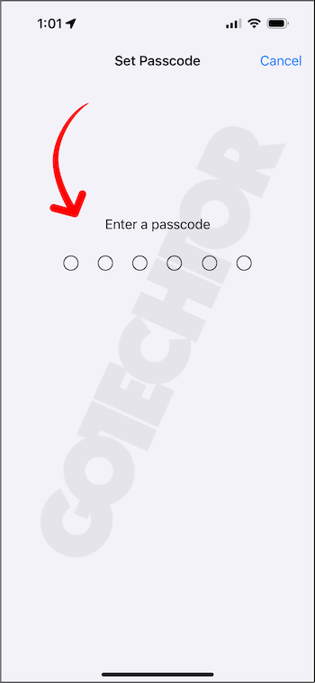 Enter a passcode for Guided Access