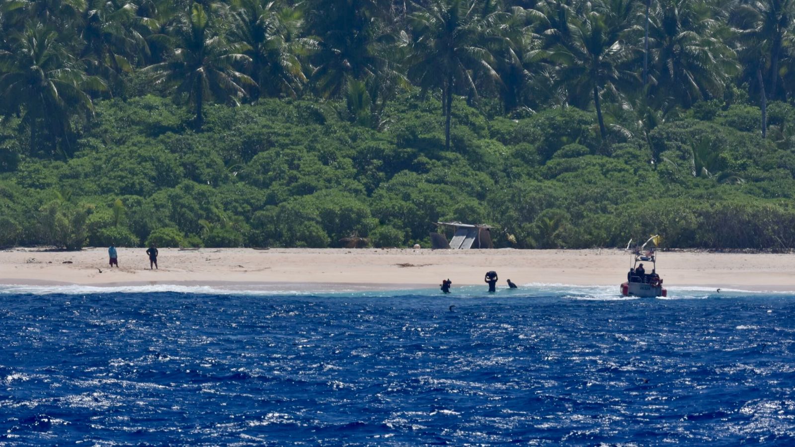 stranded sailors rescued from remote island after spelling 'help' with palm tree leaves