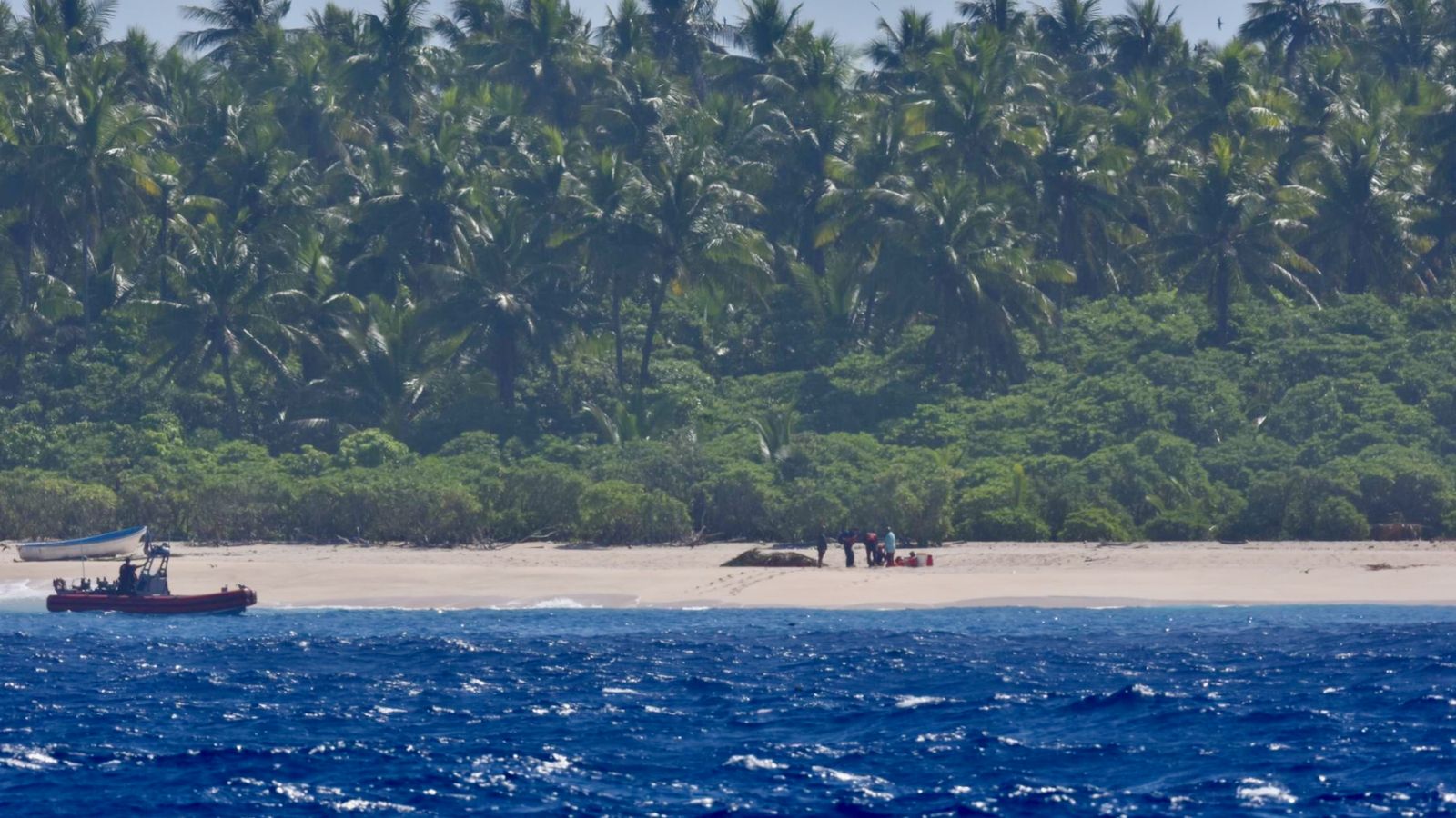 stranded sailors rescued from remote island after spelling 'help' with palm tree leaves