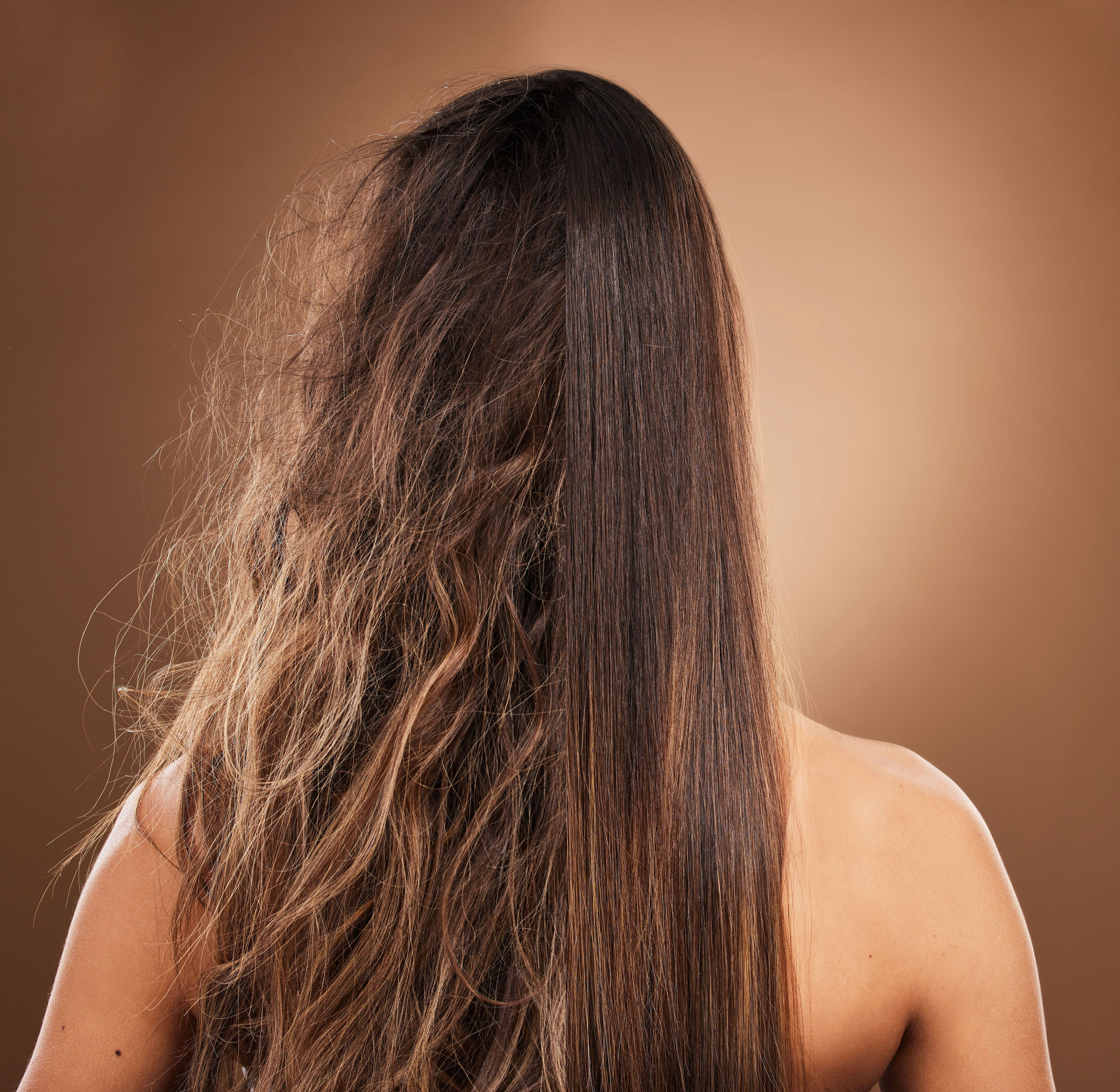 pelo castigado: los trucazos que no fallan para reparar tu cabello sin gastar una fortuna
