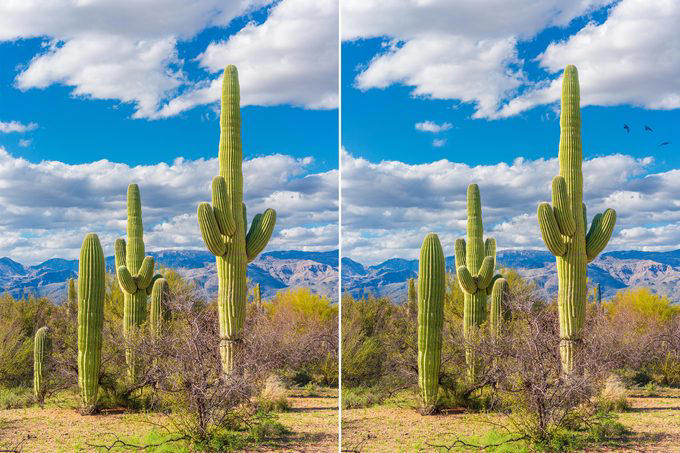 can you spot the difference in these 20 pictures?