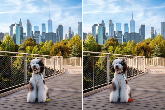 can you spot the difference in these 20 pictures?