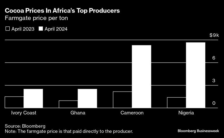 Cocoa’s Surge Is Drawing Africa’s Farmers Back To The Bean