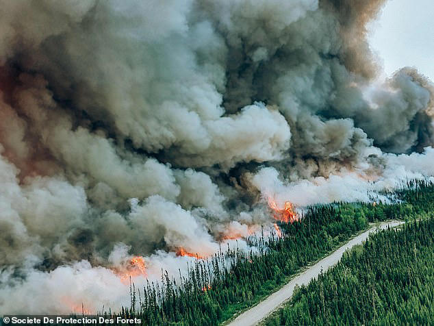 Canada is at risk of another devastating wildfires like the blazes that ...