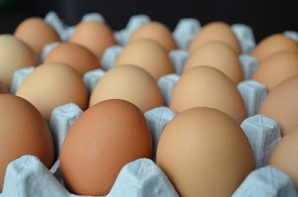 계란 섭취, 콜레스테롤 수치에 어떤 영향 미칠까?