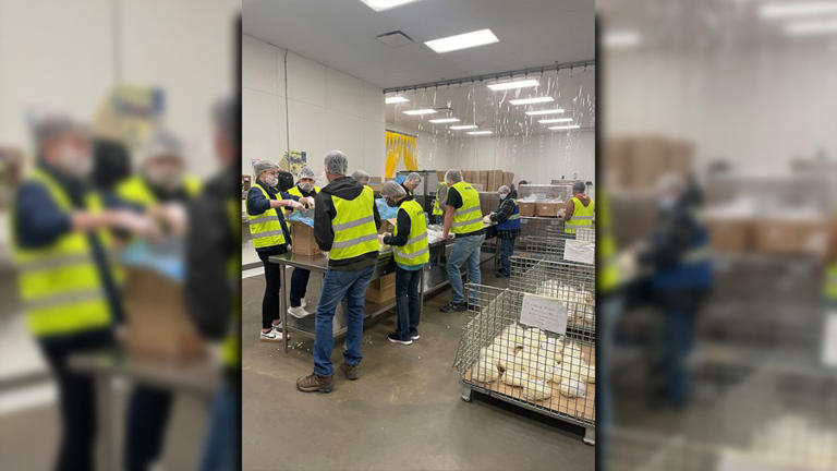 How the South Plains Food Bank serves the community, how to get help