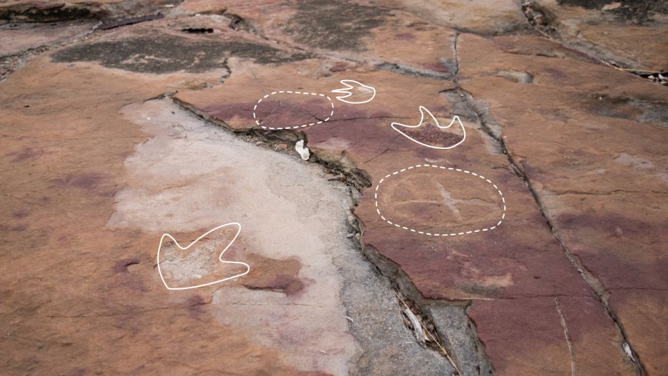 mysterious symbols found near footprints shed light on ancient humans’ awareness of dinosaurs, scientists say