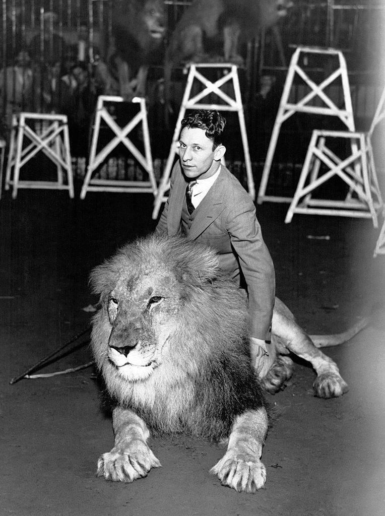 <p>One example of just how much variety there was on the show was when animal tamer Clyde Beatty appeared. Beatty discovered during rehearsal that the stage was much too small for his tigers to perform safely. Sullivan convinced him to go ahead with the act, however.</p> <p>During Beatty's performance, he lost control of the tigers. Luckily, he was able to subdue them. Sullivan later said that this appearance was "the roughest act, I've ever featured." No doubt that Beatty felt the same way, but a clip of this performance was included in a "best of" DVD compilation of "The Ed Sullivan Show."</p>