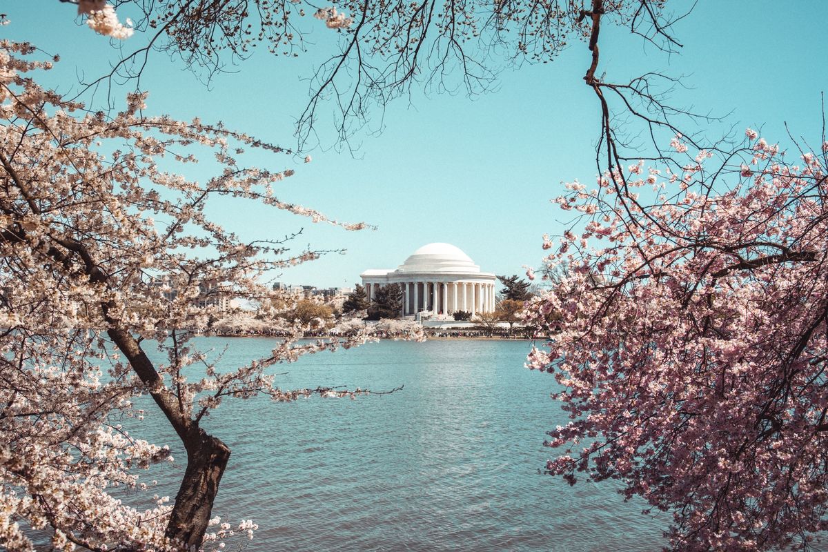<p>Washington D.C. is always beautiful, but plan to head to the capital city during the beautiful cherry blossom season in late March. No matter when you visit, the national landmarks, impressive museums, and culinary offerings will never disappoint. </p><p><a class="body-btn-link" href="https://go.redirectingat.com?id=74968X1553576&url=https%3A%2F%2Fwww.tripadvisor.com%2FHotel_Review-g28970-d8662491-Reviews-Waldorf_Astoria_Washington_DC-Washington_DC_District_of_Columbia.html&sref=https%3A%2F%2Fwww.veranda.com%2Ftravel%2Fweekend-guides%2Fg46628435%2Fbest-places-for-girls-trip-in-usa%2F">Shop Now</a></p>