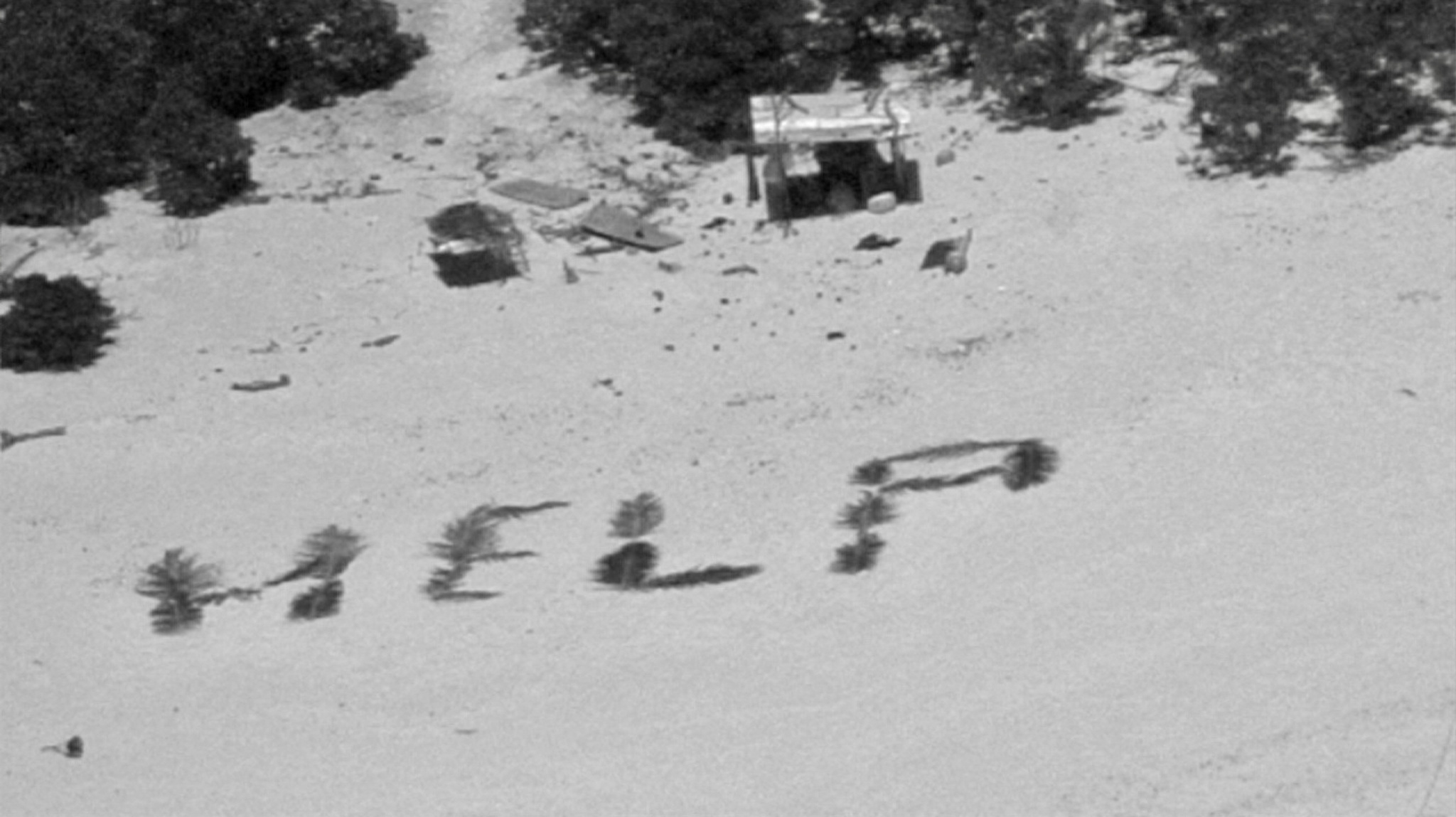 砂浜にヤシの葉で「help」太平洋の孤島に取り残された3人救助
