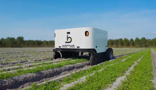 Onkruid wiedende robots helpen boeren van de gifspuit af