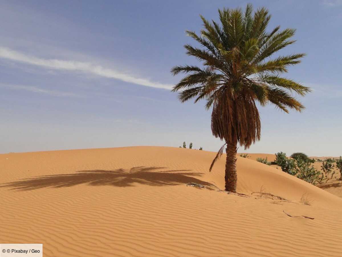 la mauritanie plutôt que le maroc, un sahara vraiment désert