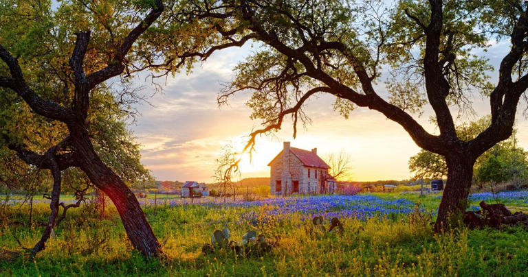 7 Best Small Towns To See Wildflowers In Texas