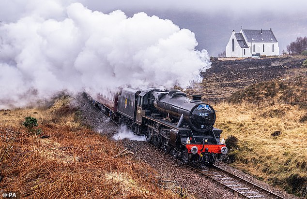 the fight to save the hogwarts express: mps back bid to stop steam trains disappearing amid health and safety row over slamming doors on its 1950s carriages
