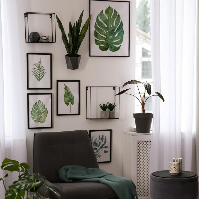 Are you looking to spruce up your living spaces and add a personal touch to your home decor?   One of the best ways to achieve this is by creating a stunning gallery wall. This is like a curated collection of art pieces, photographs, and other sentimental items arranged on a wall. It's a fantastic way...