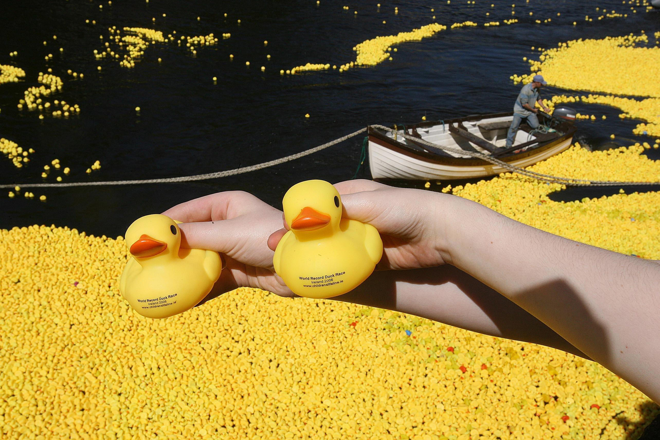 rubber duck found 18 years after it was lost at sea