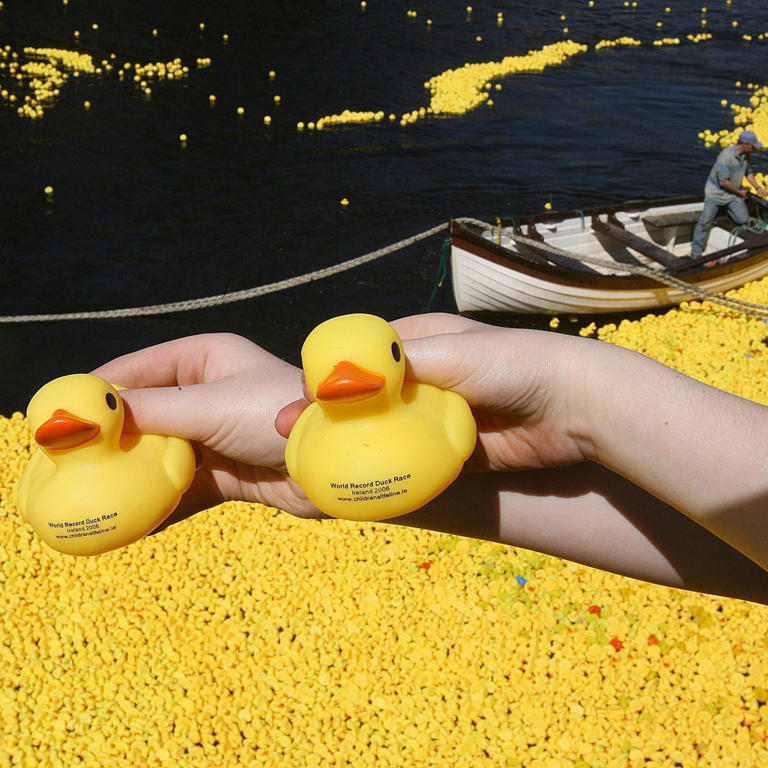 Rubber Duck Found 18 Years After It Was Lost At Sea