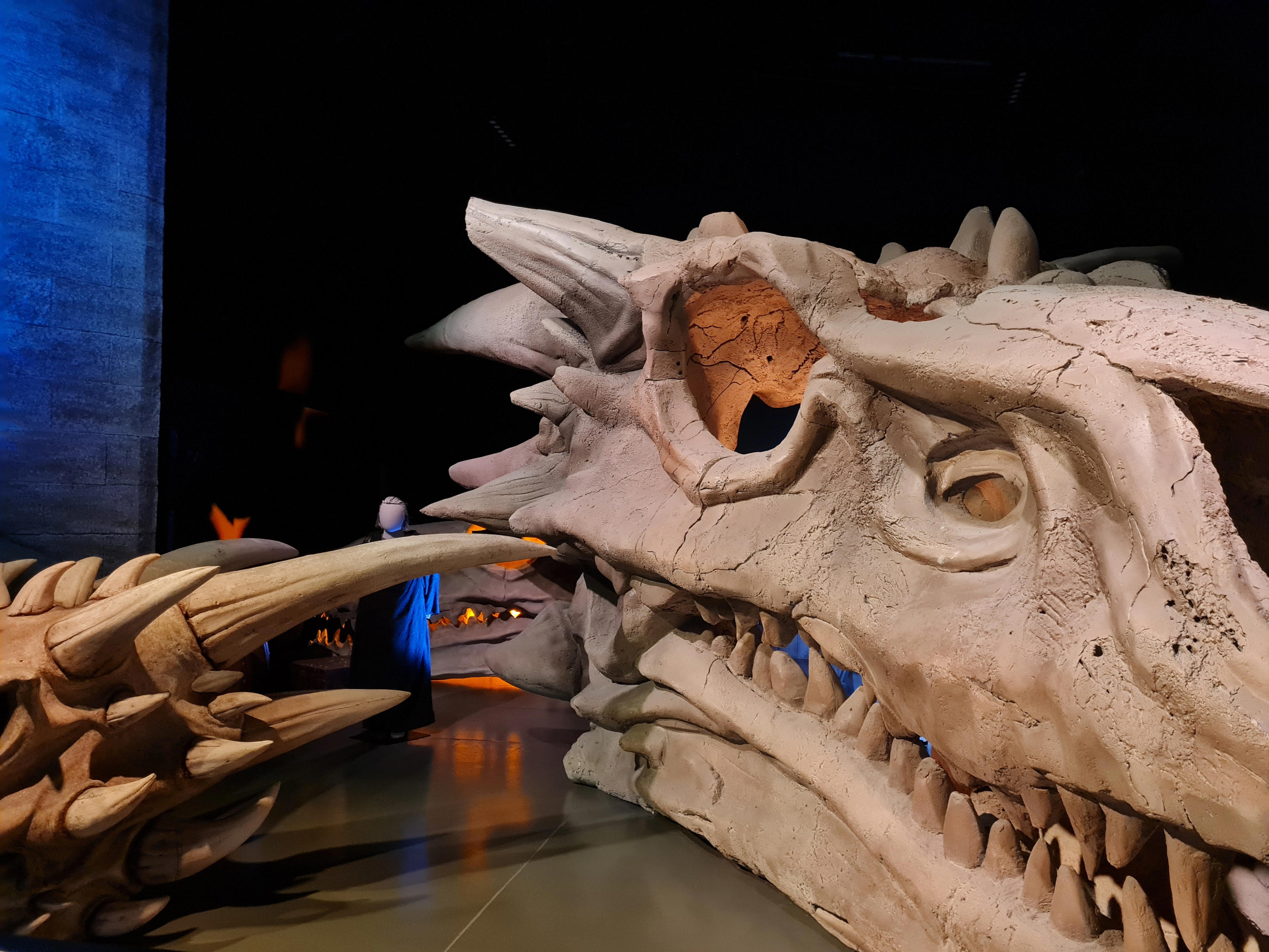 <p>In addition to walking through the sets, I got an insight into the show's creation process.</p><p>The 30-foot dragon skull of Balerion the Black Dread took six weeks to make before being shipped to Spain for filming. While standing next to the masterpiece, I could hardly believe that something of its scale could be <a href="https://www.businessinsider.com/solo-travel-surprising-things-american-in-europe-2023-3">transported across Europe</a>.</p><p>Equally staggering, we learned that the crew went through 52,000 bags of <a href="https://www.businessinsider.com/fake-snow-movie-tv-fantastic-beasts-call-midwife-winter-christmas-2023-1">fake snow</a> and 163 tons of propane (for pyrotechnic effects) throughout the series. </p><p>Hearing about these intense behind-the-scenes efforts brought the series' magic back to life and made the visit worthwhile for me.</p>
