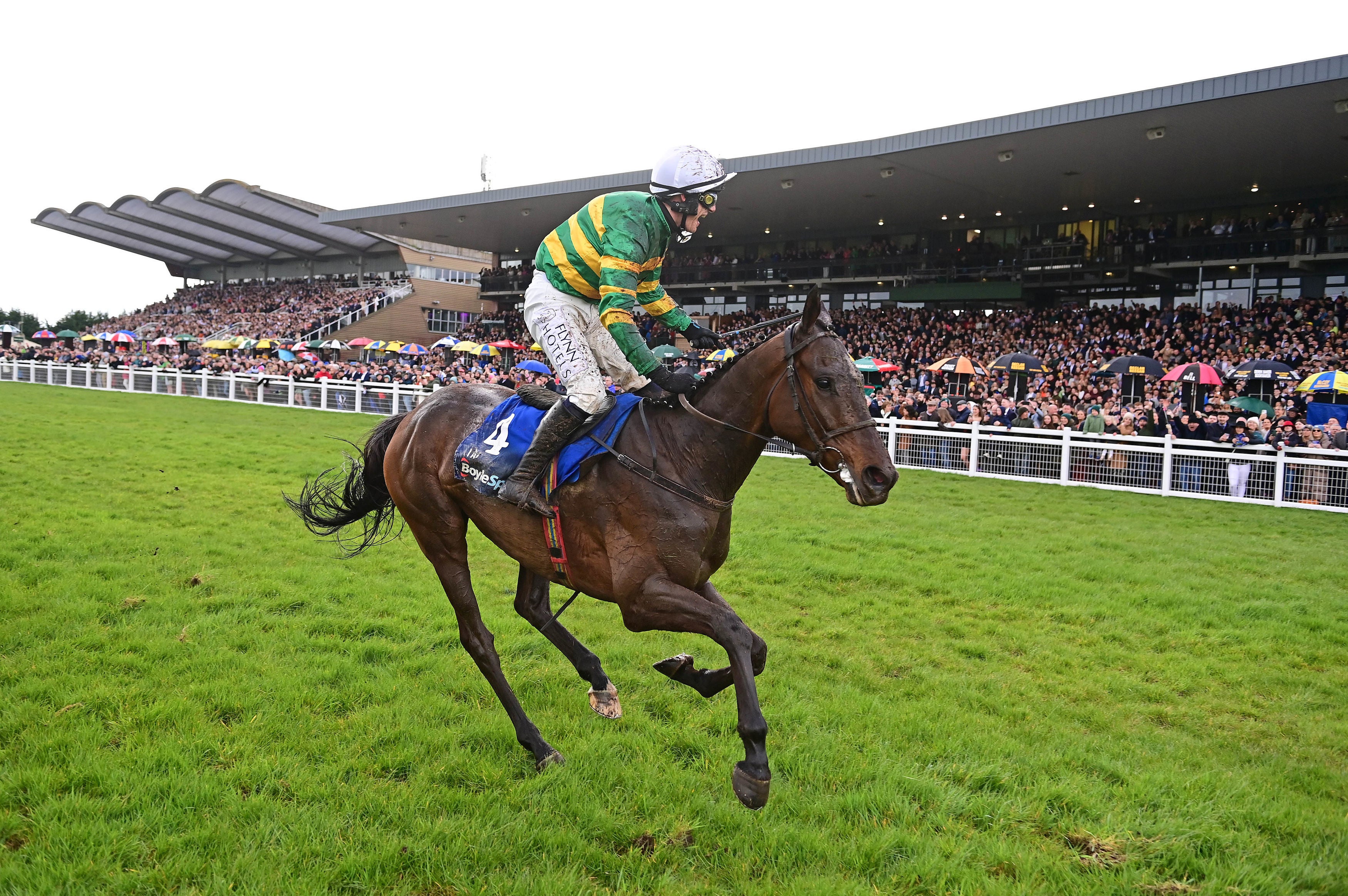 ap mccoy names willie mullins contender as horse he would choose to ride in grand national
