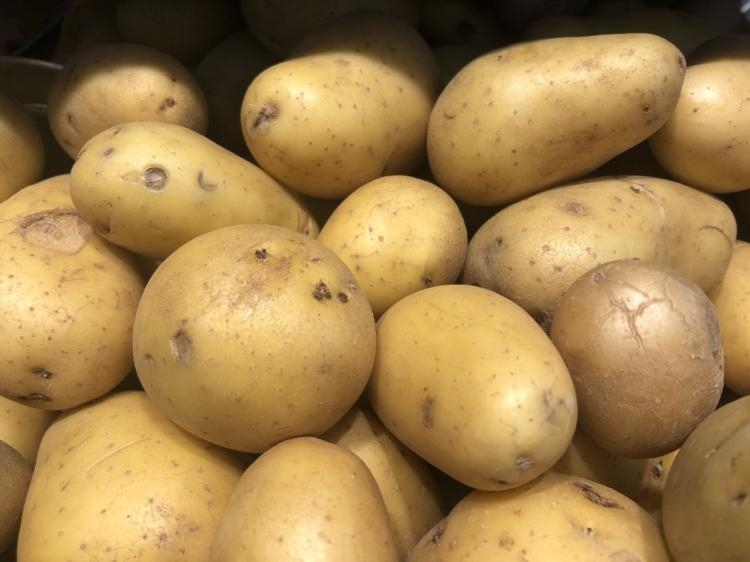 voici sept variétés de pommes de terre et nos conseils pour les cultiver
