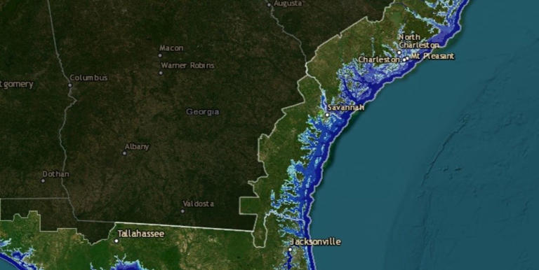 Georgia Map Shows Where State Could Be Underwater From Sea Level Rise