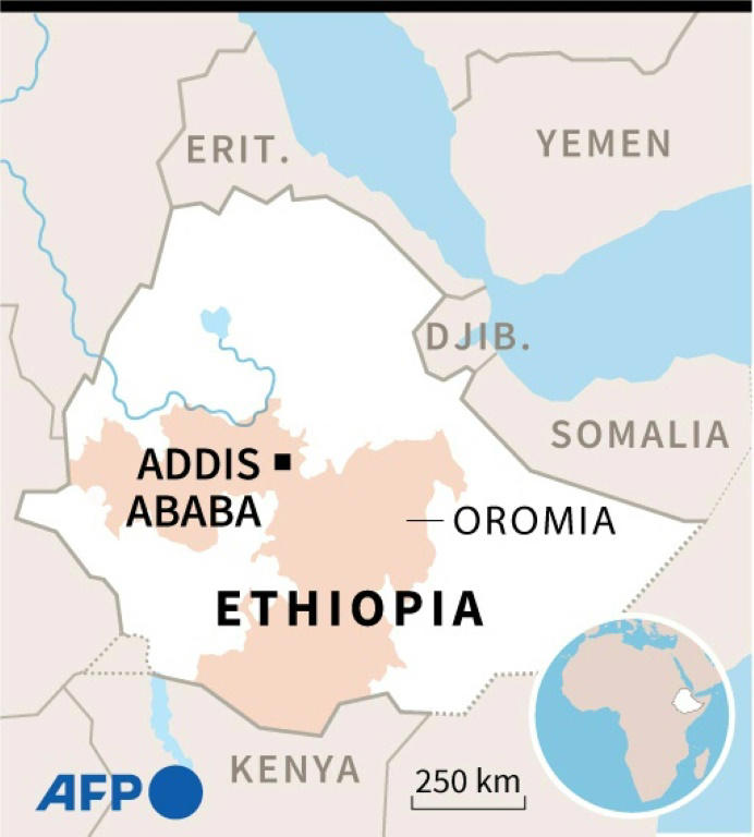 13 arrested in Ethiopia over killing of Oromo opposition figure