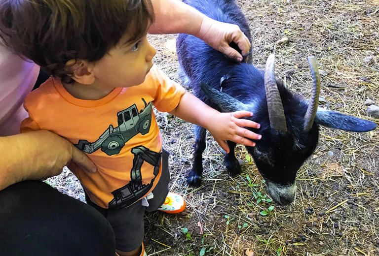 Meet the Animals at these New Jersey Petting Zoos and Animal Farms