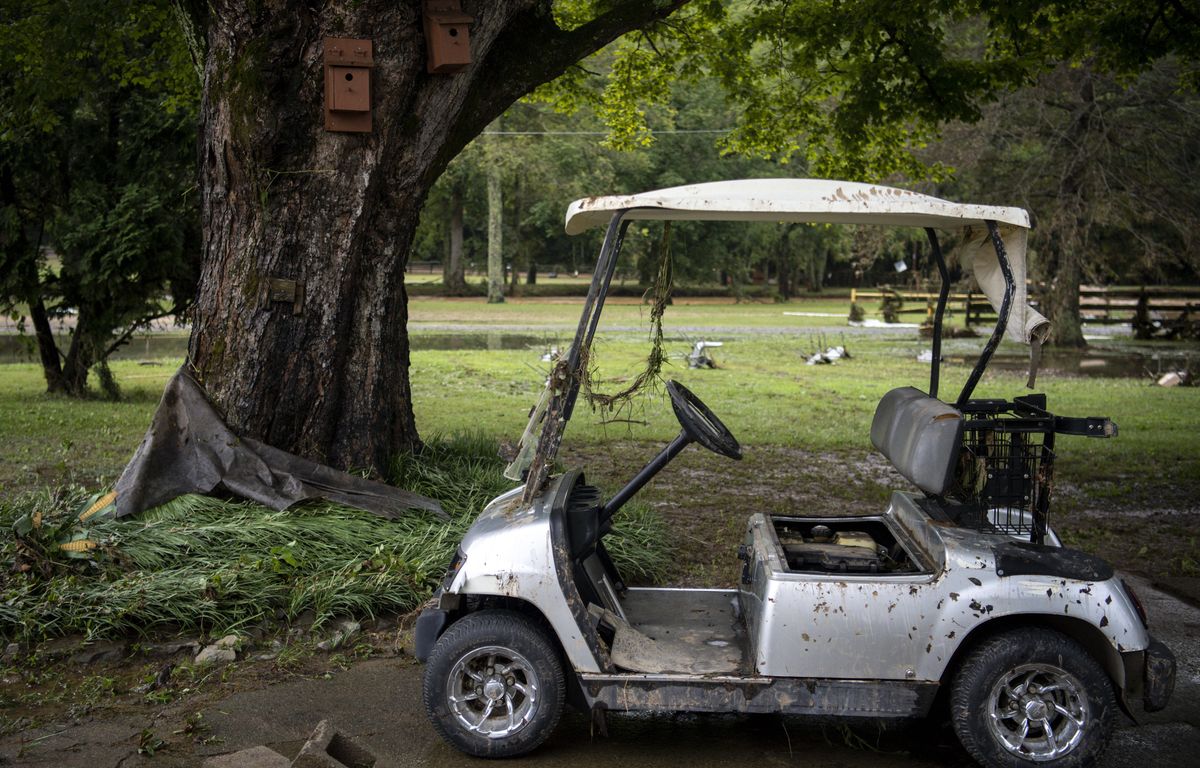maine-et-loire : un octogénaire meurt écrasé par une voiturette de golf conduite par sa femme